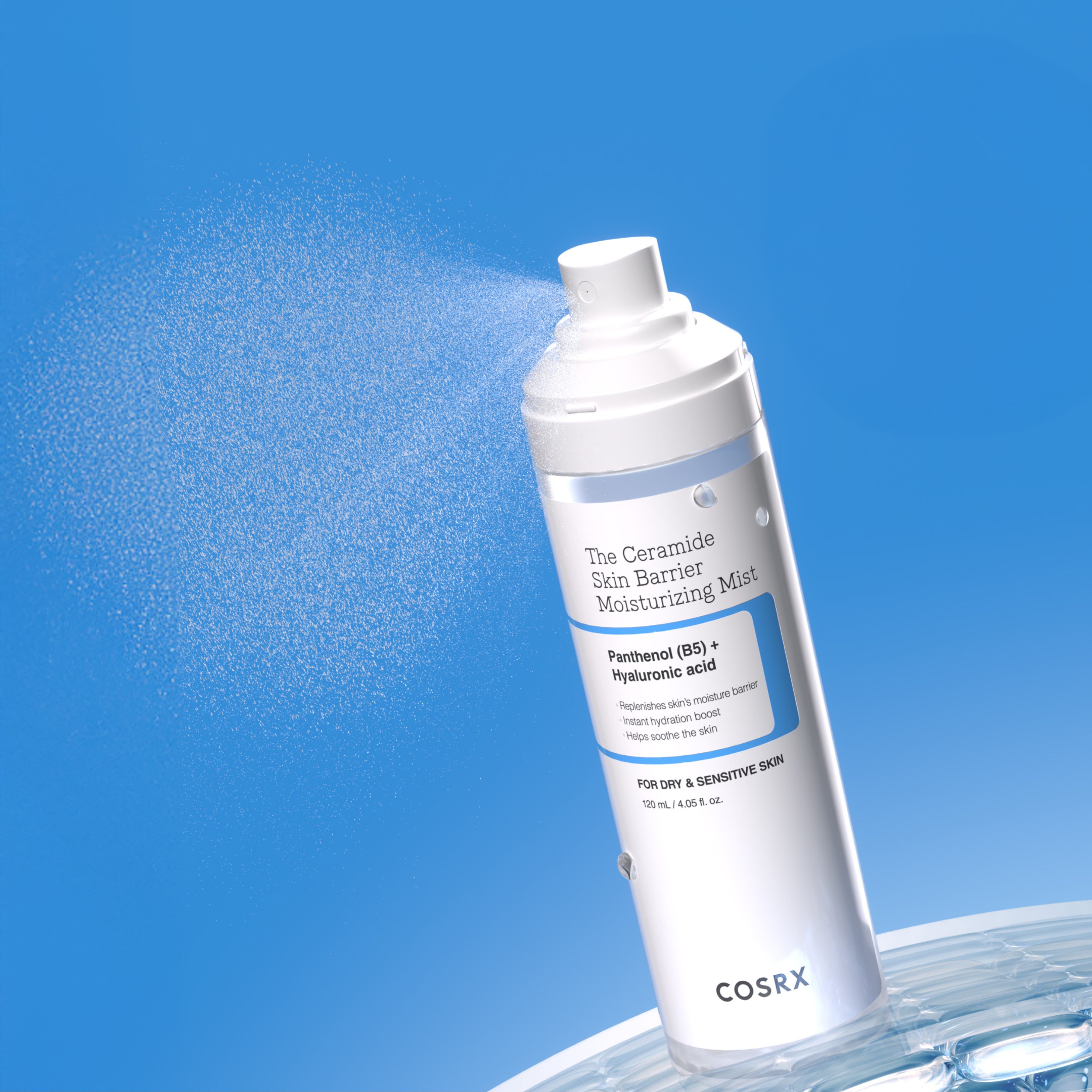 The Ceramide Skin Barrier Moisturizing Mist 120ml
